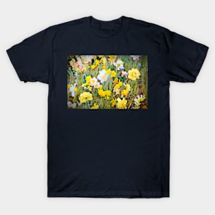 Daffodils 13 T-Shirt